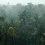 ഉരുള്പൊട്ടലില് വീട് നഷ്ടപ്പെട്ടവര്ക്ക് രാഹുല് ഗാന്ധിയും കര്ണാടക സര്ക്കാരും ചേര്ന്ന് 100 വീടുകള് വീതം നിര്മിച്ചു നല്കും