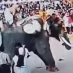 ആറു ദിവസം കൊണ്ട് ഇന്ത്യയില്‍ കോടികളുടെ കളക്ഷന്‍ നേടി ഹനുമാന്‍