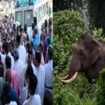 വരാനിരിക്കുന്ന ലോക്സഭാ തിരഞ്ഞെടുപ്പില് മത്സരിക്കുന്നില്ലെന്ന് വ്യക്തമാക്കി കെ സുരേന്ദ്രന്