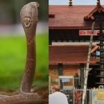 “ഒരു സര്ക്കാര് ഉത്പന്നം” സിനിമയുടെ തിരക്കഥാകൃത്ത് നിസാം റാവുത്തര് അന്തരിച്ചു