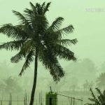 പാളത്തിലെ വിള്ളല്‍ : നേത്രാവതി എകസ്പ്രസിന് ഒഴിവായത് വന്‍ദുരന്തം