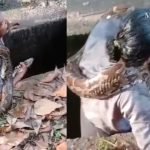 ‘കെഎസ്ഇബിയുടെ അനാസ്ഥ’; കട വരാന്തയിലെ തൂണില് നിന്ന് ഷോക്കേറ്റ് കോഴിക്കോട് വിദ്യാര്ത്ഥി മരിച്ചു