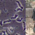 പന്തീരാങ്കാവ് കേസ് : യുവതി ഗാര്ഹിക പീഡനത്തിന് ഇരയായതായി ഡോക്ടറുടെ മൊഴി