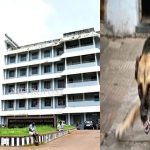 ബോംബ് പൊട്ടിത്തെറിച്ച വിഷയത്തില് പ്രതികരിച്ചതിന് പിന്നാലെ നാട്ടില് ഒറ്റപ്പെടുത്താന് തുടങ്ങി, ആക്രമിക്കപ്പെടുമോ എന്ന പേടിയുണ്ടെന്ന് യുവതി