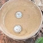 വീര്യം കുറഞ്ഞ മദ്യവുമായി വന്കിട കമ്പനികള് കേരളത്തിലേക്ക്