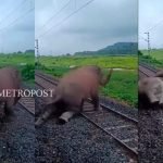 അവധി അപേക്ഷ അനുവദിച്ചില്ല; സ്വയം വിരമിച്ച് വിജിലന്സ് ഡയറക്ടര് ടി കെ വിനോദ് കുമാര്