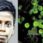 വയനാട്ടില് വീണ്ടും കാട്ടാന ആക്രമണം; ജോലിക്ക് പോകാന് ഇറങ്ങിയ യുവാവിന് ഗുരുതരപരിക്ക്