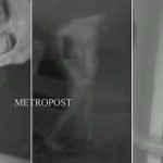 പാലക്കാട് ശോഭാ സുരേന്ദ്രനെ പിന്തുണച്ച ബി.ജെ.പി നേതാവിന്റെ വീടിന് നേരെ ആക്രമണം ; ബി.ജെ.പിയില്‍ പൊട്ടിത്തെറി