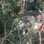 വയനാട് ഉപതെരഞ്ഞെടുപ്പ് ; പ്രിയങ്കാ ഗാന്ധി 23ന് നാമനിര്ദേശ പത്രിക സമര്പ്പിക്കും