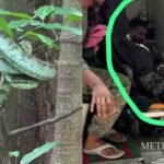 സൗദിയില് വധശിക്ഷ റദ്ദ് ചെയ്ത് ജയിലില് കഴിയുന്ന റഹീമിന്റെ മോചനകാര്യത്തില് ഇന്നും തീരുമാനമായില്ല