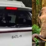വിസ നിയമത്തില്‍ അടിമുടി മാറ്റവുമായി കുവൈത്ത് ; പ്രധാനപ്പെട്ട മാറ്റങ്ങള്‍ അറിയാം…
