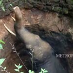 ട്രംപിന് തിരിച്ചടി ; ജന്മാവകാശ പൗരത്വം നിര്‍ത്തലാക്കാനുള്ള ഉത്തരവിന് സ്റ്റേ