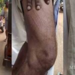 കാസര്കോട് കാണാതായ പെണ്കുട്ടിയെയും അയല്വാസിയായ യുവാവിനെയും മരിച്ച നിലയില് കണ്ടെത്തി