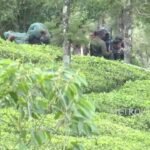 ‘ആശാവര്ക്കര്മാരുടെ സമരത്തിന് പിന്നില് എസ്ഡിപിഐ, ജമാഅത്തെ ഇസ്ലാമി തുടങ്ങിയവര്; പരിഹരിക്കേണ്ടത് കേന്ദ്രസര്ക്കാര്’; എം വി ഗോവിന്ദന്