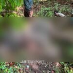 ഐബി ഉദ്യോഗസ്ഥയുടെ മരണം; സുകാന്തിനെതിരെ കൂടുതല്‍ തെളിവുകള്‍, ഗര്‍ഭഛിദ്രത്തിന് വ്യാജ രേഖകളുണ്ടാക്കി