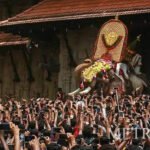 മലപ്പുറത്ത് പാന്റിന്റെ പോക്കറ്റില് പാമ്പിനെയിട്ട് യുവാവിന്റെ അഭ്യാസപ്രകടനം